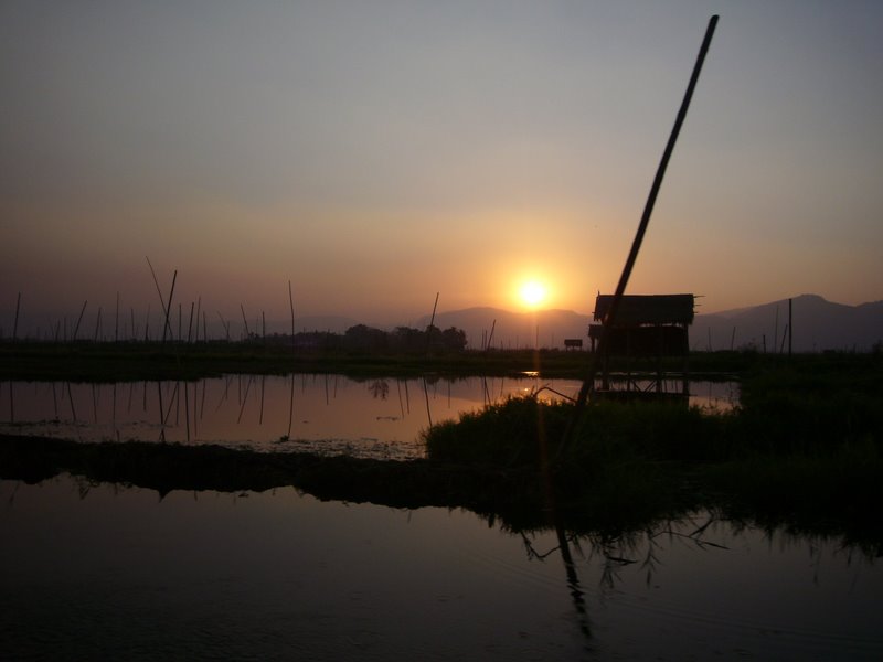 Sunset over the world of rice.